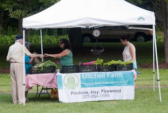 farmers market-mitchell farm