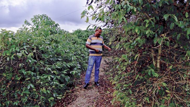 The Human Cost of Coffee: Rescuing slave workers in Brazil’s farms