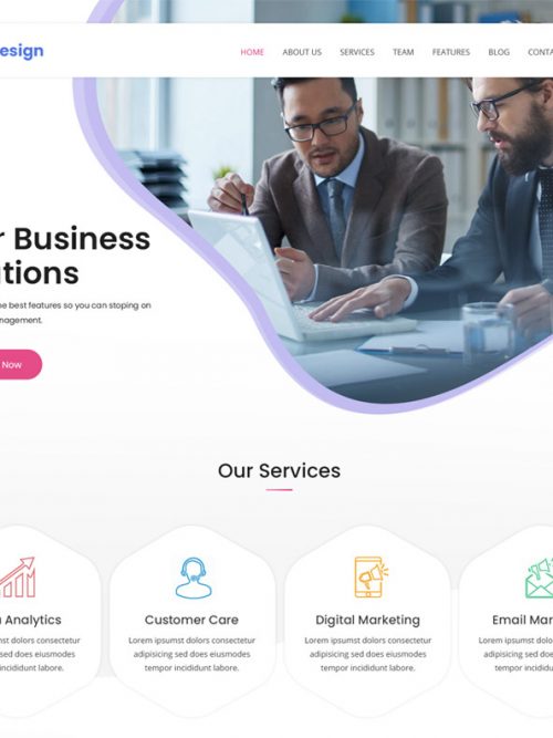 Software Company Wordpress Theme